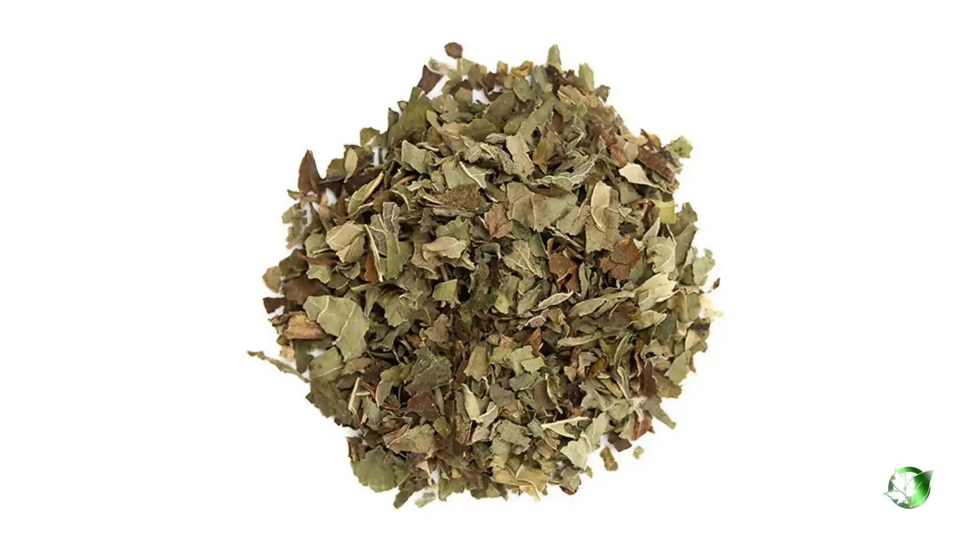 Bulk Lemon Balm | Suppliers | Wholesale | ParsaFood Global